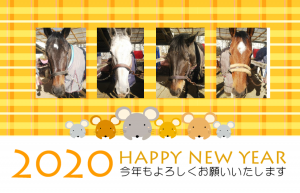 体験乗馬はこちら